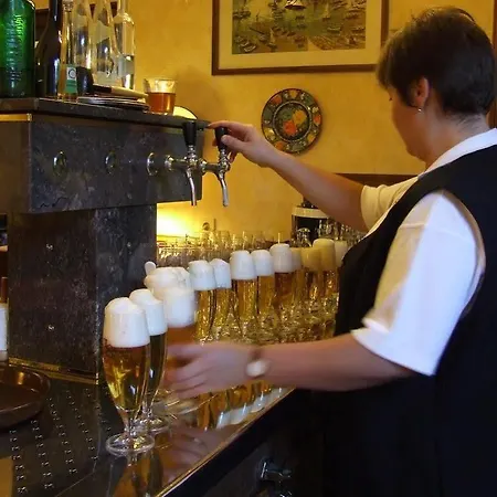 Wolfs Hotel
